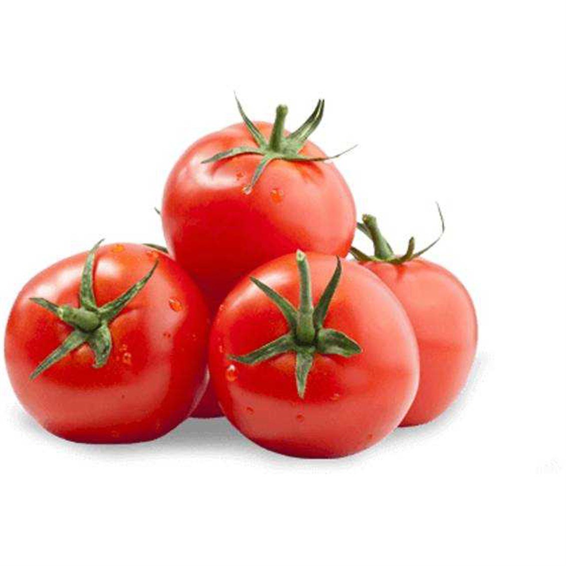 domates-kg