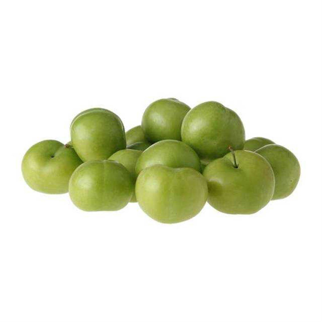 papaz-erik-kg