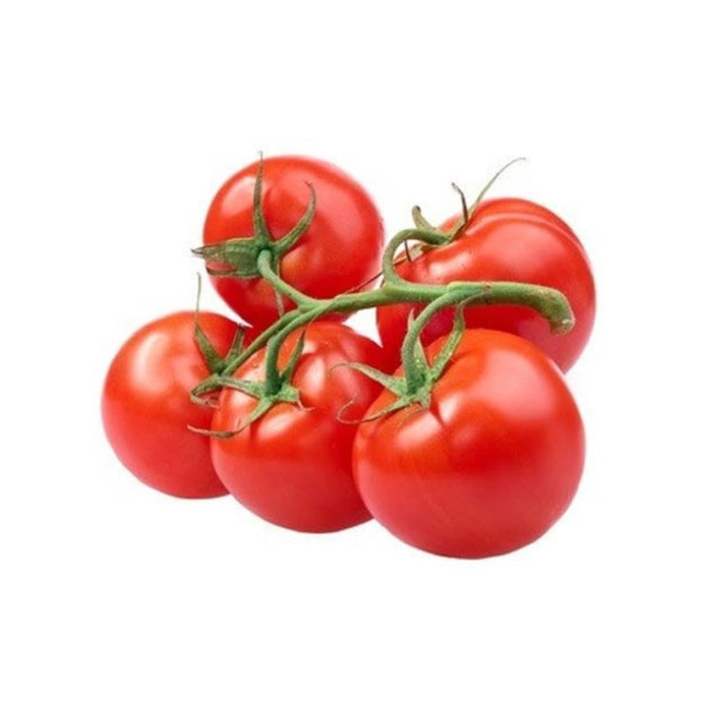 domates-salkim-kg